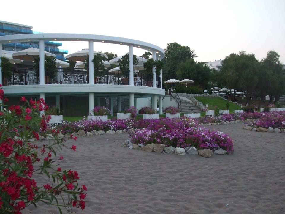 Bild 3 Hotel Calypso Beach