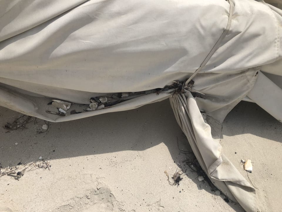 Strand Jumeirah at Saadiyat Island Resort