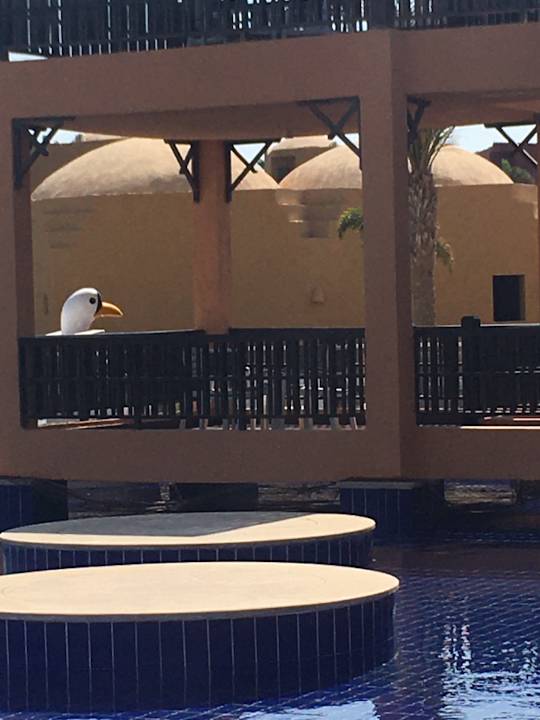 Ausblick Pickalbatros Vita Resort - Portofino Marsa Alam