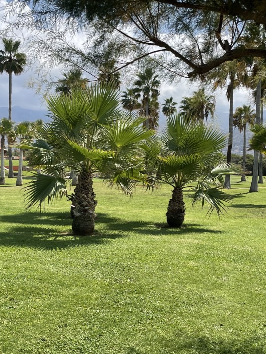 Gartenanlage Calimera Sirens Beach
