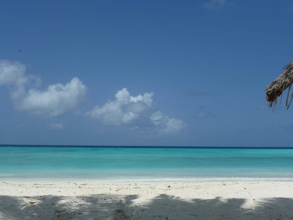 So weit das Auge blicken kann Summer Island Maldives