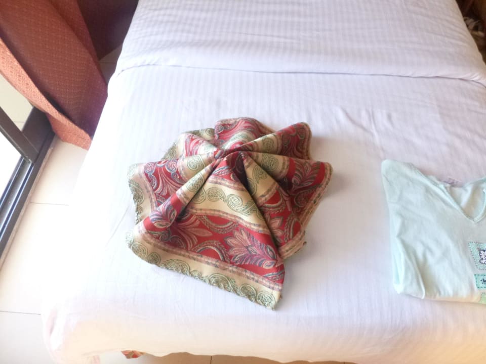 Immer etwas neues Ghazala Beach