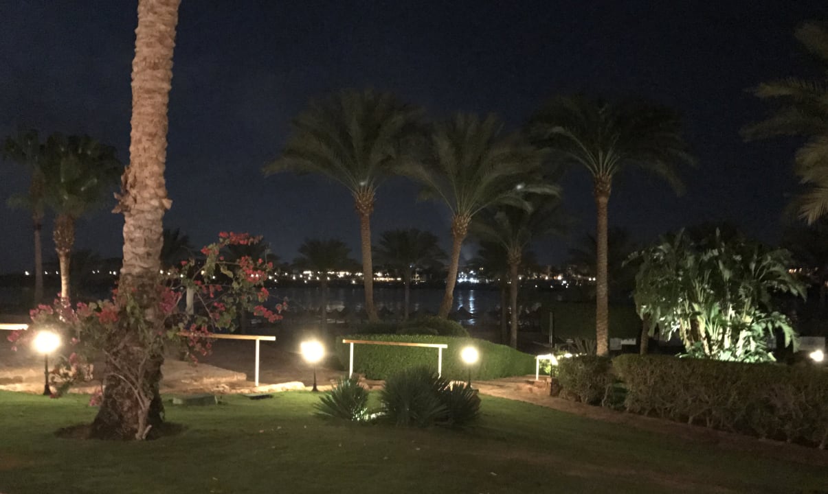 Gartenanlage Steigenberger Coraya Beach - Adults only