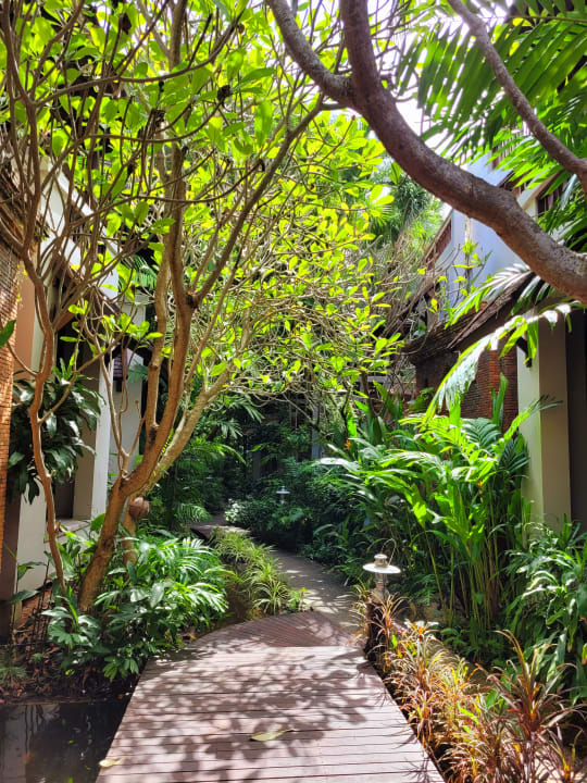 Gartenanlage Muang Samui Spa Resort