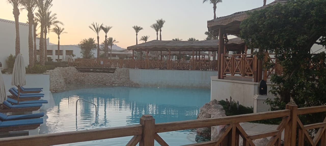 Pool Ghazala Gardens