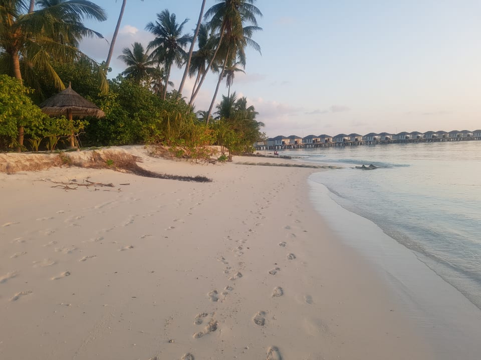 Außenansicht NH Collection Maldives Havodda Resort