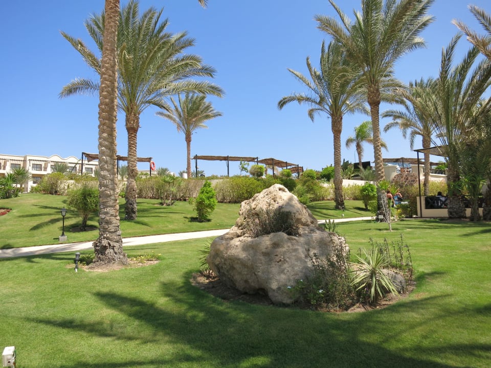 Viel Grün Jaz Solaya