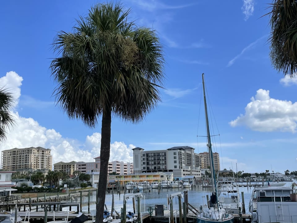 Außenansicht Courtyard by Marriott Clearwater Beach