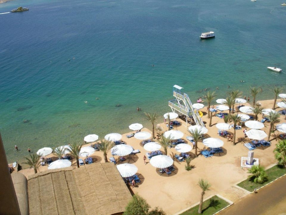 Strand/Riff Albatros Sharm Resort