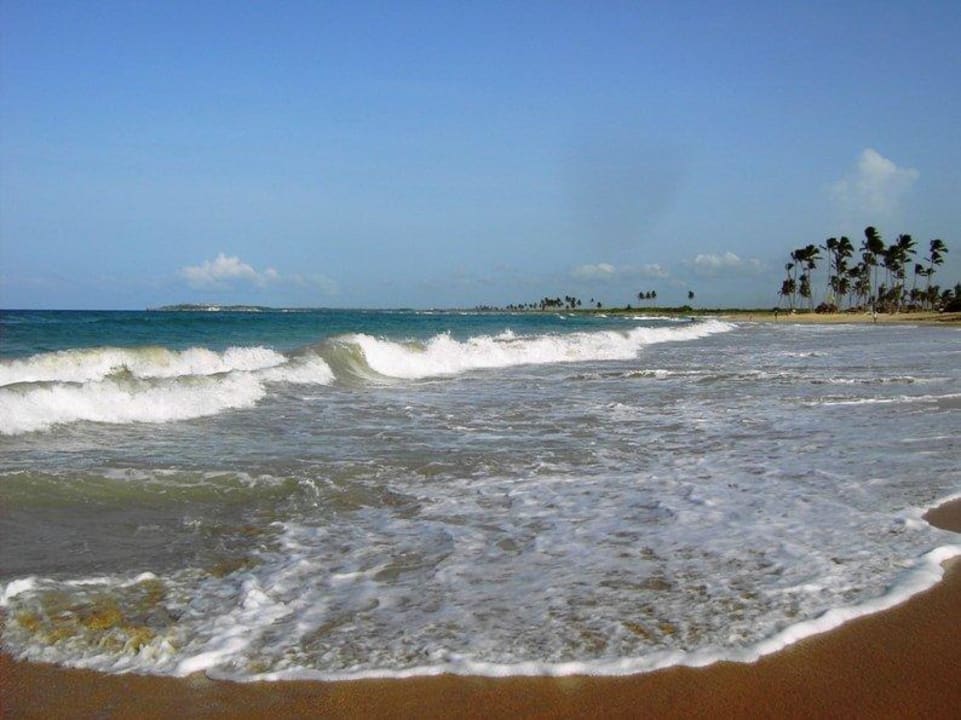 Südliche Bucht direkt am Hotel Wyndham Alltra Punta Cana