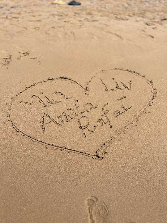 Strand Seashell Vega