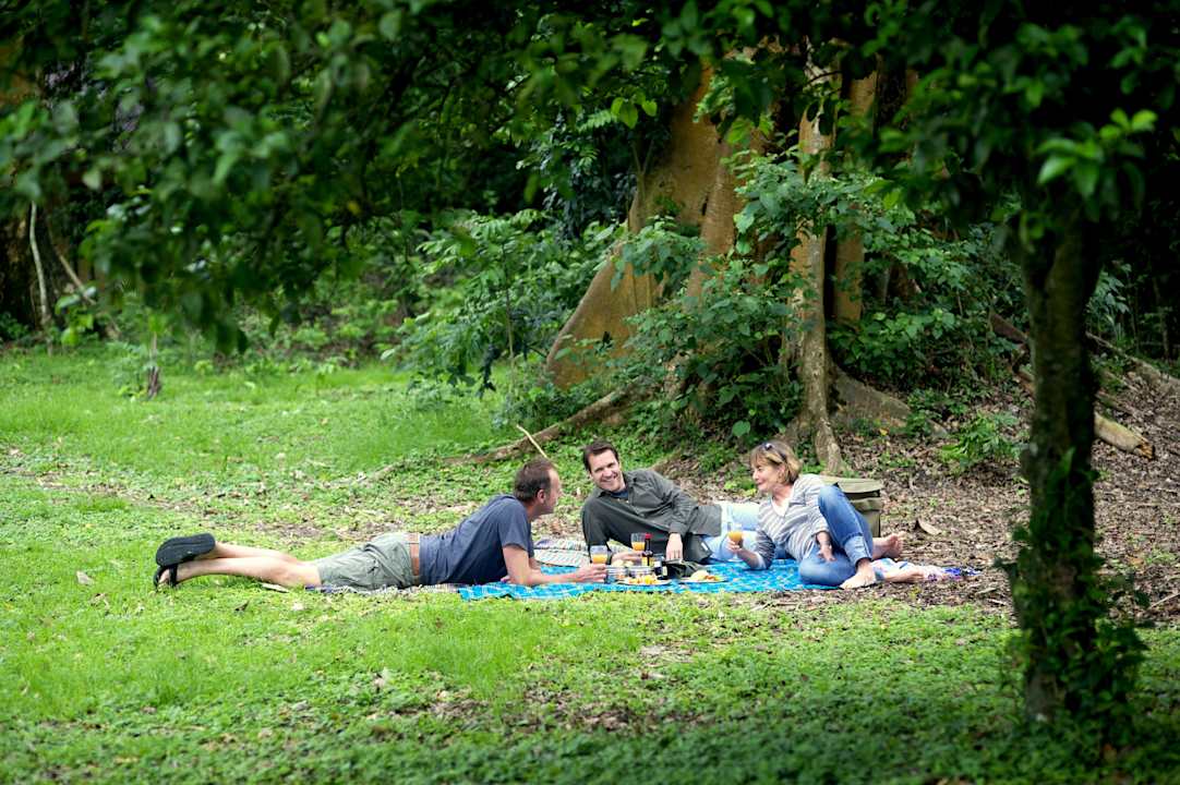 Bush picnic Rubondo Island Camp