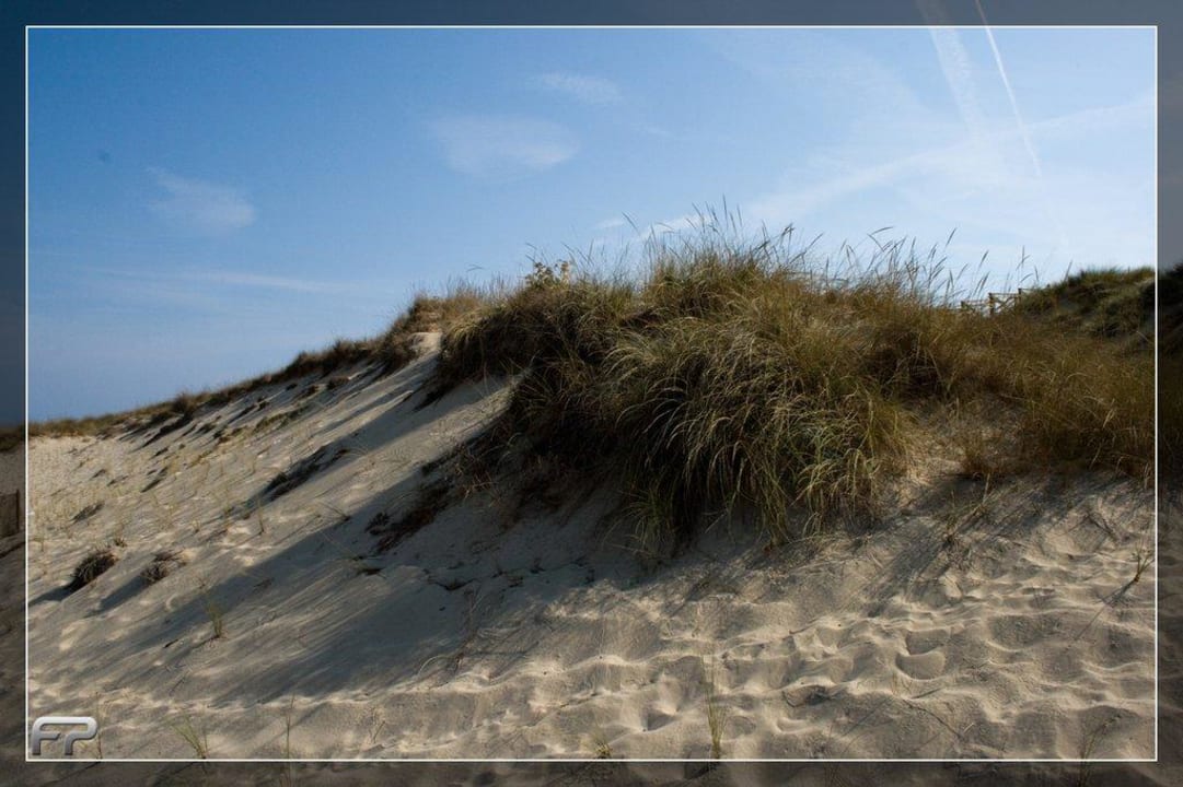 Bewachsene Düne VIVA Cala Mesquida Suites & Spa 16+