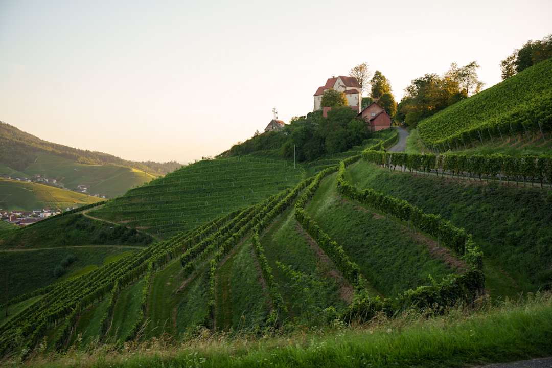 Ausblick Hotel Ritter Durbach