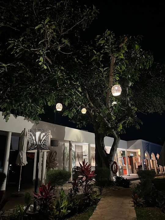 Gastro Hotel Riu Palace Zanzibar