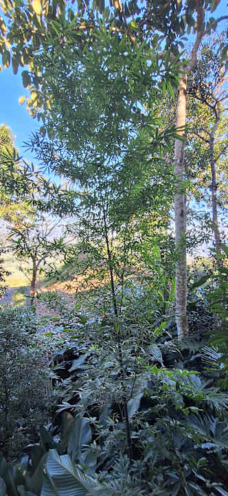 Gartenanlage Pu Luong Eco Garden