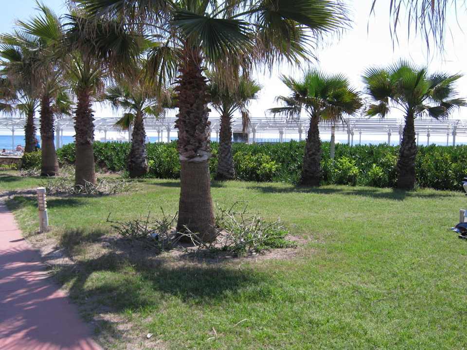 Der Palmengarten Saturn Palace Resort Hotel
