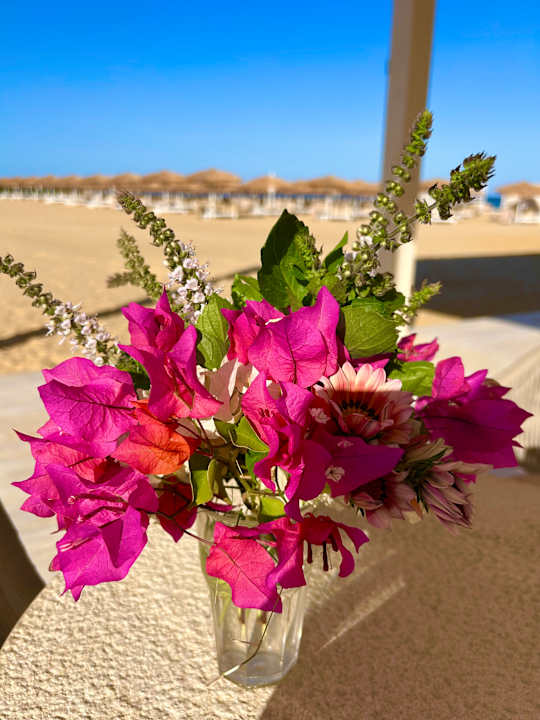 Strand SUNRISE Anjum Resort Marsa Alam