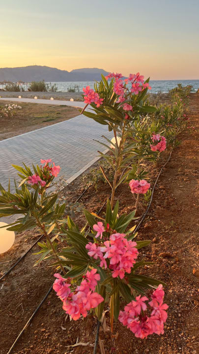 Strand Ventale Island Breeze Resort
