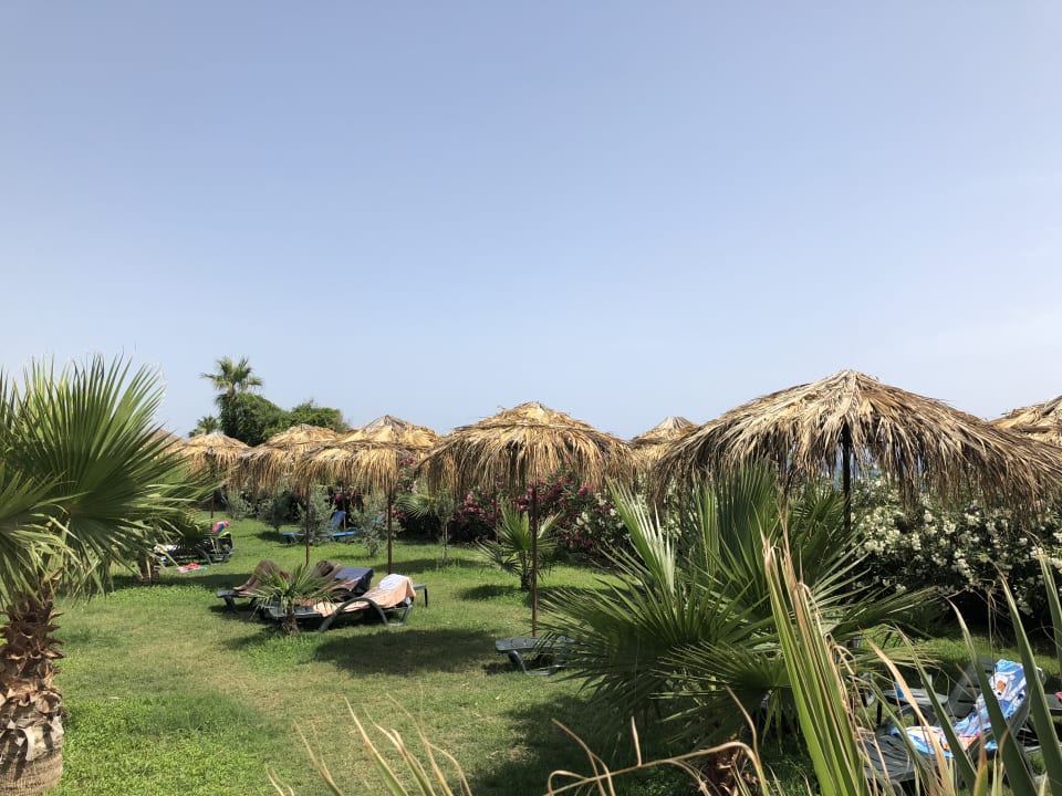 Gartenanlage Club Turtas Beach Hotel