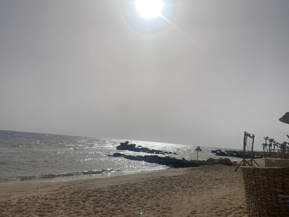 Strand Pickalbatros Citadel Resort