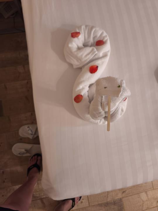 Zimmer Prima Life Makadi Resort