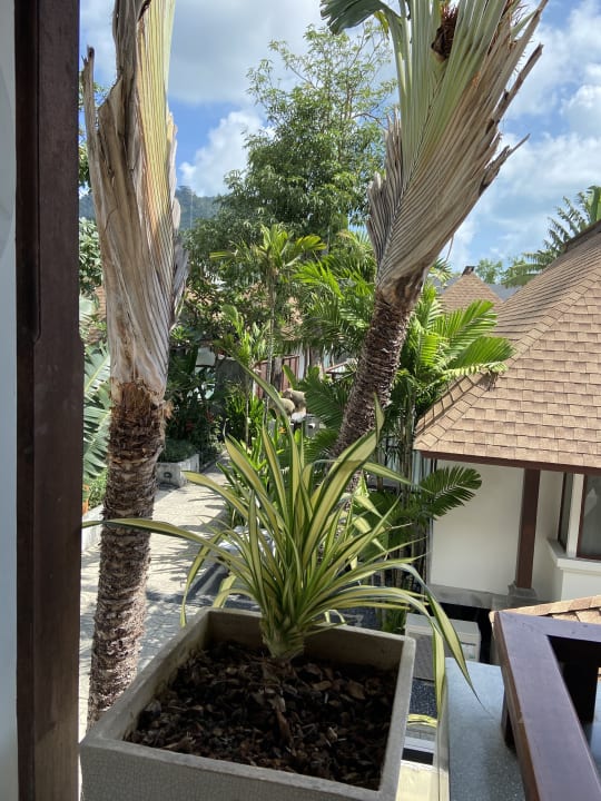 Zimmer Pavilion Samui Villas & Resort