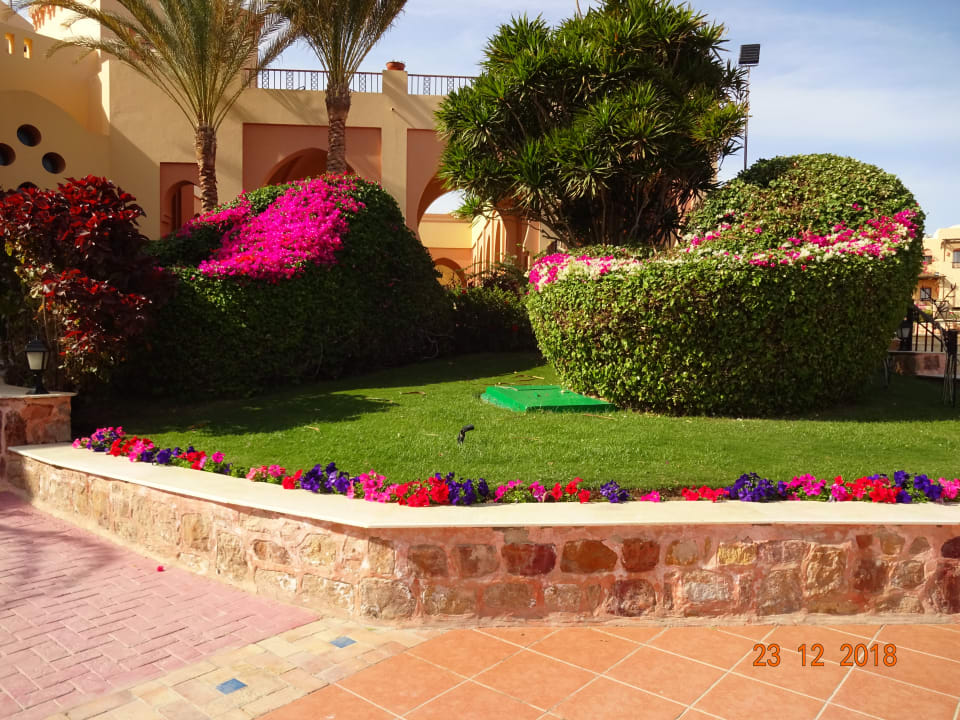 Gartenanlage Steigenberger Coraya Beach - Adults only