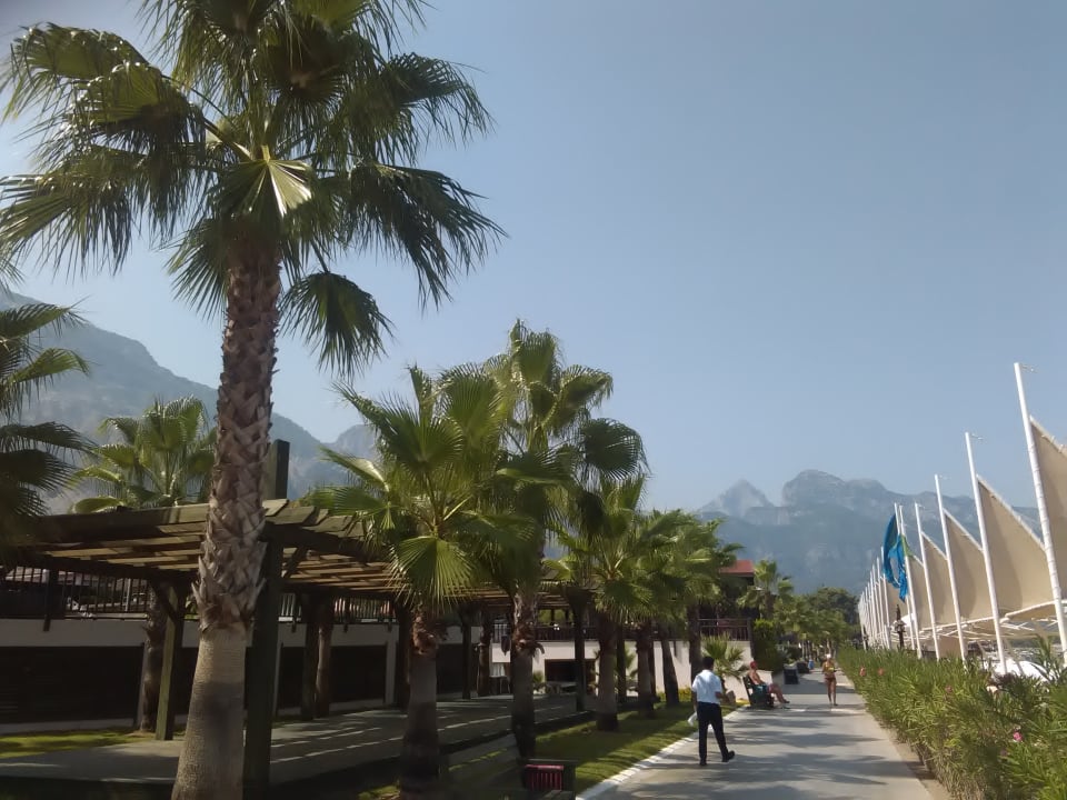 Gartenanlage Crystal Flora Beach Resort