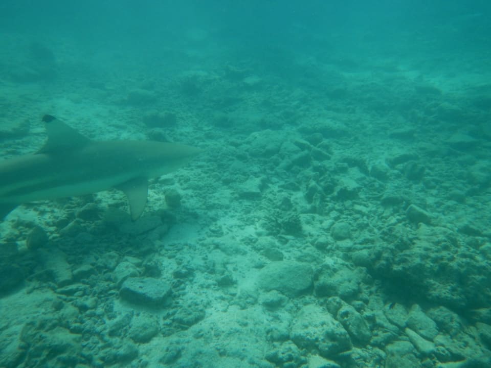 Sport & Freizeit Summer Island Maldives