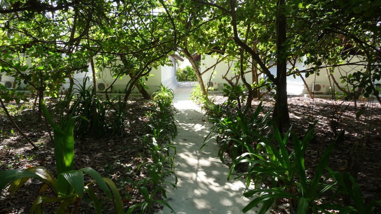 Schattige Wege NH Collection Maldives Reethi Resort