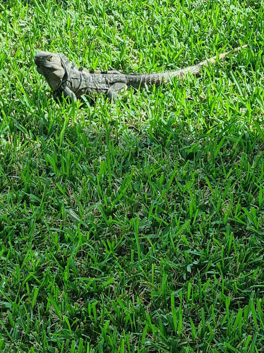 Außenansicht Hotel Riu Palace Costa Mujeres