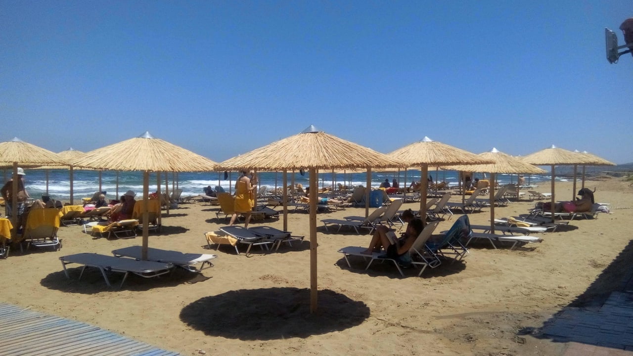 Immer ein Plätzchen frei allsun Hotel Carolina Mare