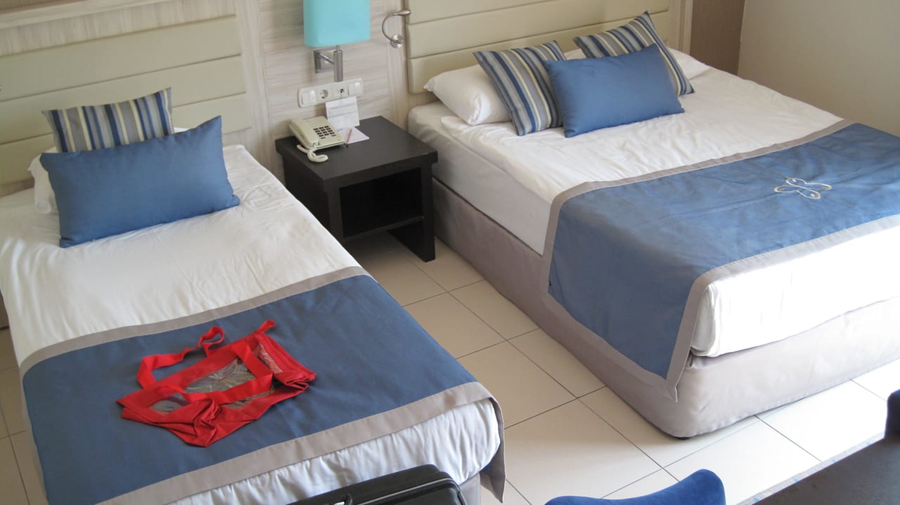 Zimmer  Papillon Belvil