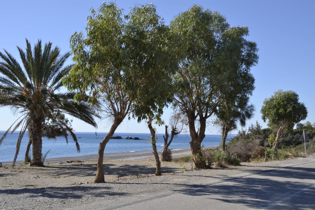 Strand Ekaterini Hotel