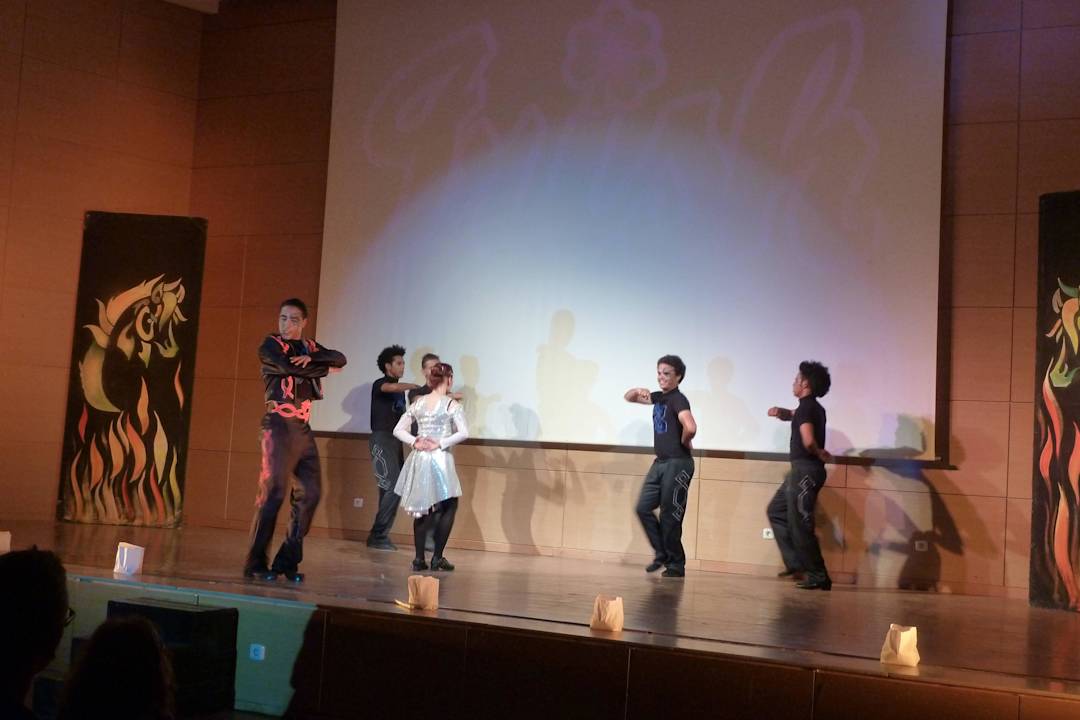 Animation, Lord of the Dance Show Hotel Rosa Beach