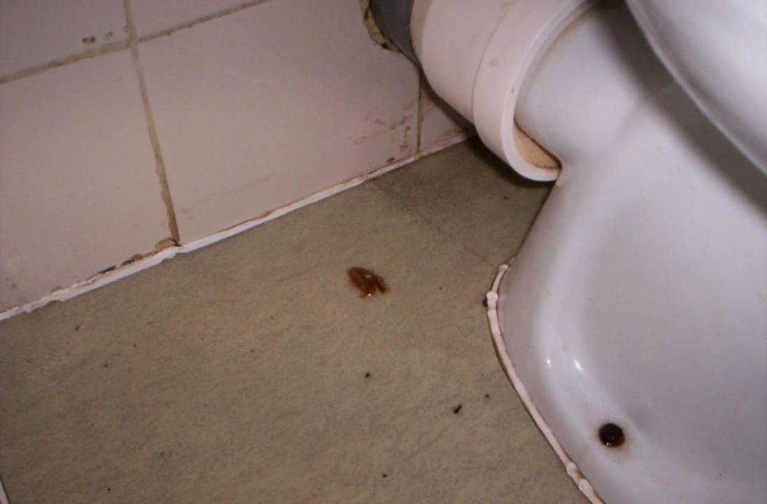 Zimmer Calimera Yati Beach