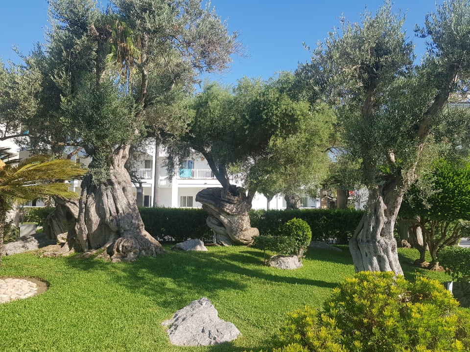 Gartenanlage Playa Garden Selection Hotel & Spa