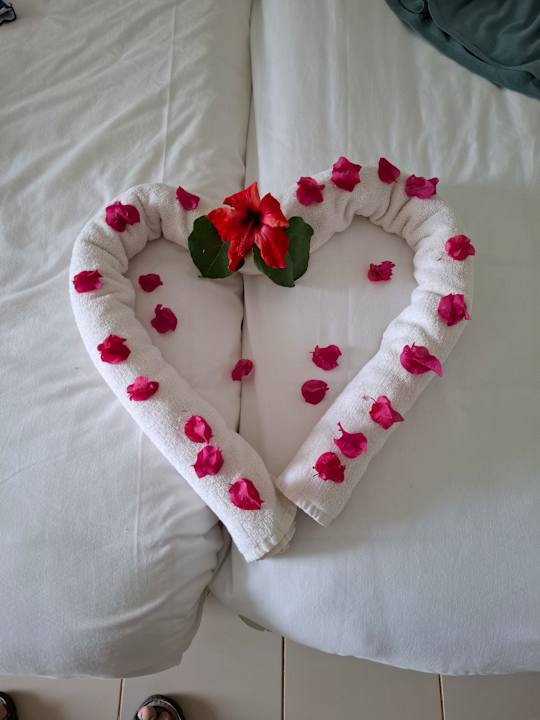 Zimmer Shalimar Hammamet