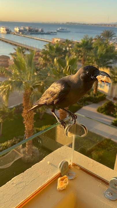 Ausblick Seven Seas Jolie Bay Resort