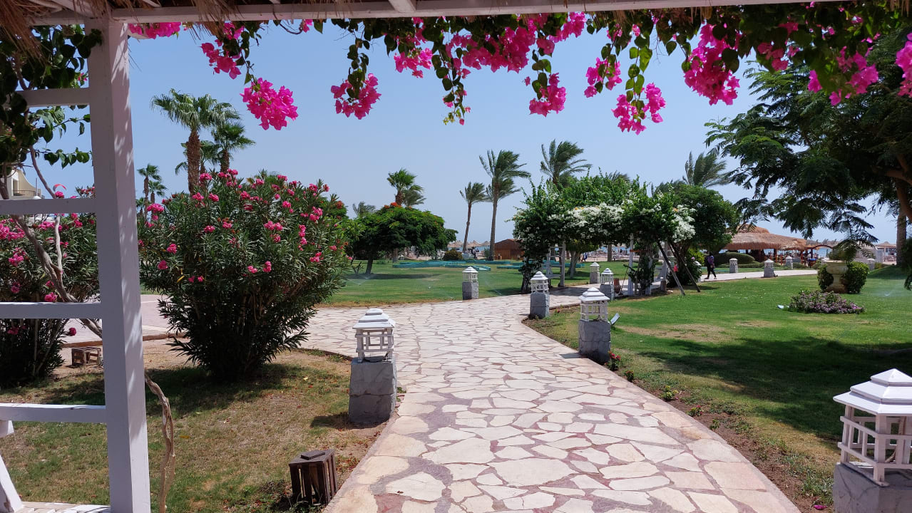 Gartenanlage Regency Plaza Aqua Park & Spa