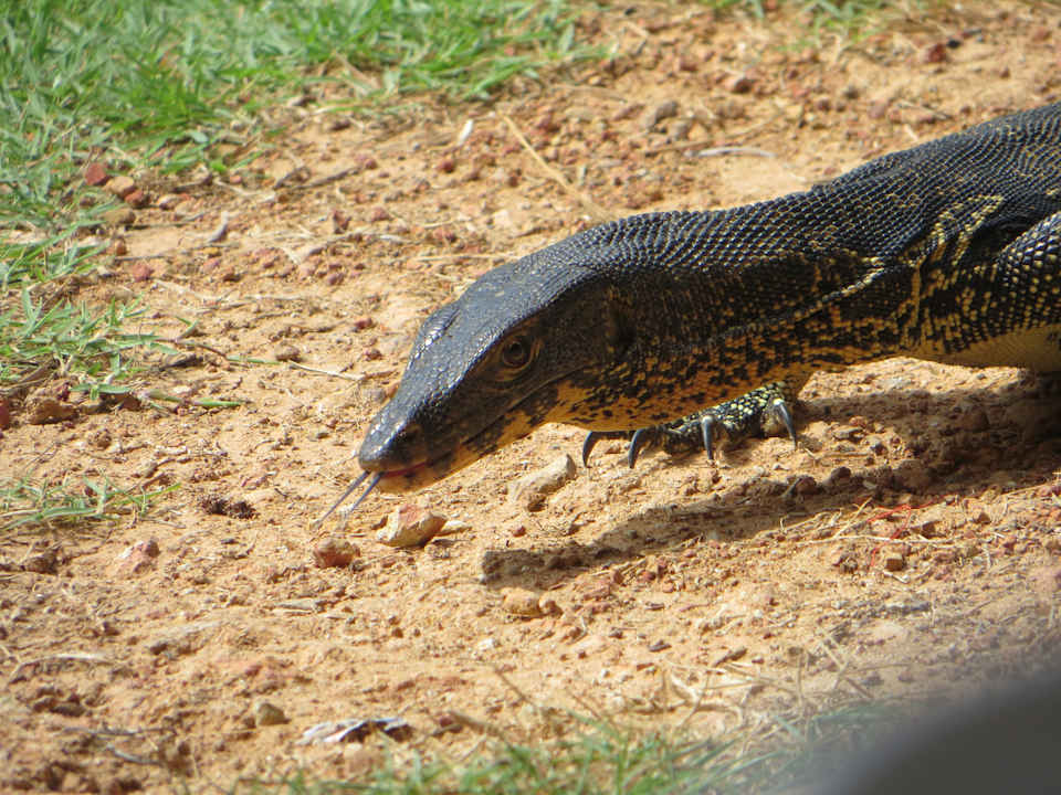 Sonstiges Hotel Koyao Island Resort