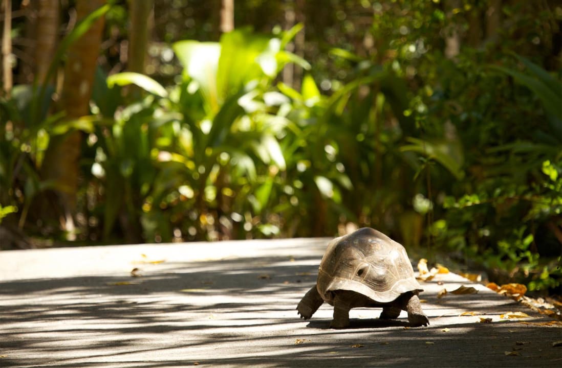 Gartenanlage Fregate Island Private