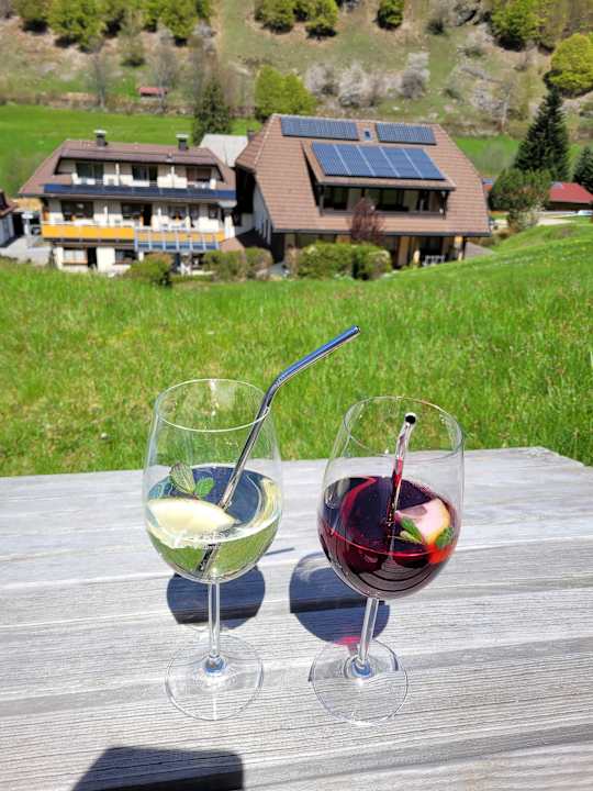 Gartenanlage Hotel Pension Obergfell