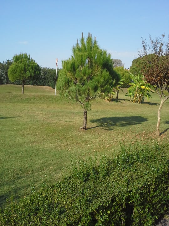 Gartenanlage IC Hotels Green Palace