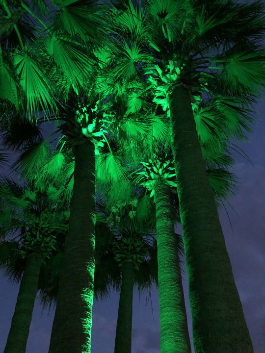 Gartenanlage Megasaray Club Belek