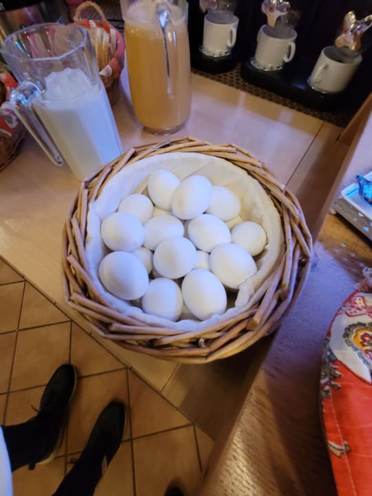 Gastro Wellness und Tagungshotel Krähenbad