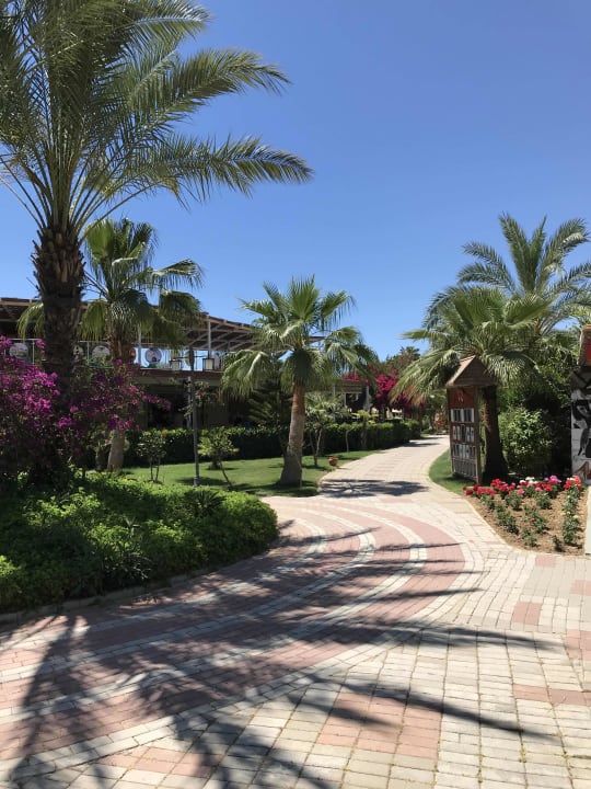 Gartenanlage Seaden Sea World Resort & Spa