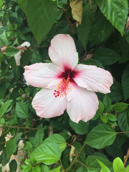 Sonstiges Aldiana Club Rocca Nettuno Calabria