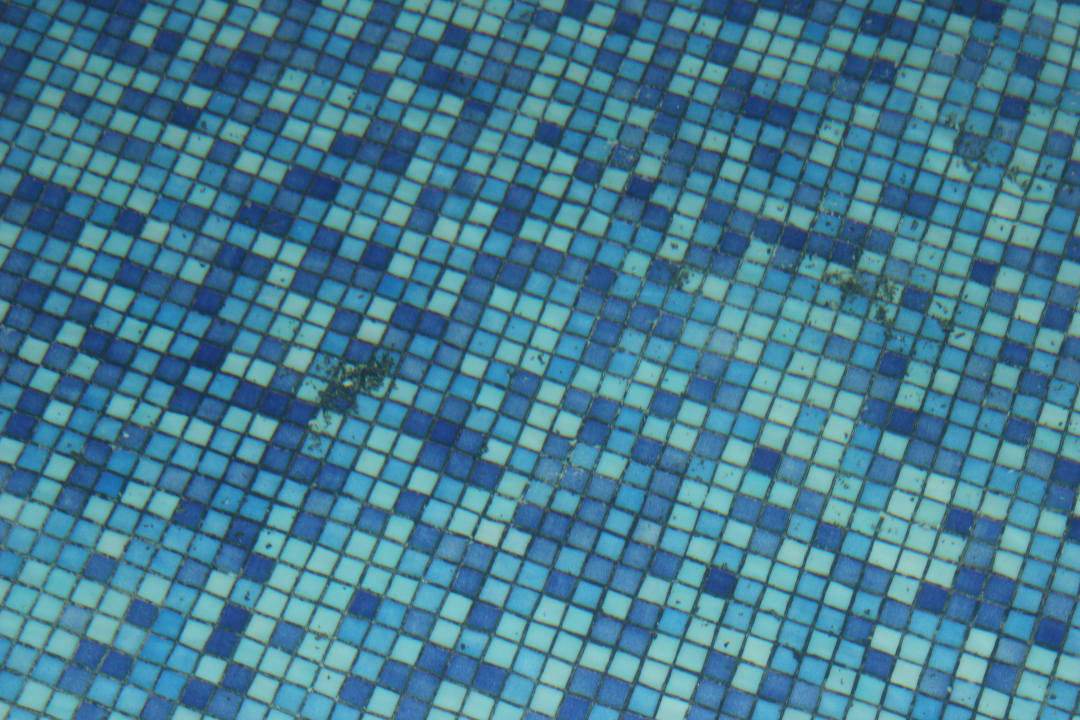 black-mold-in-pool-memories-flamenco-beach-resort-cayo-coco